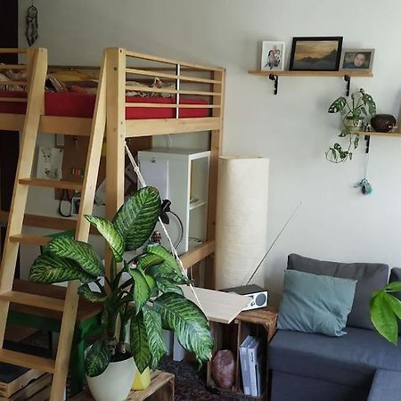 15 Min Zum Zentrum Apartamento Viena Exterior foto